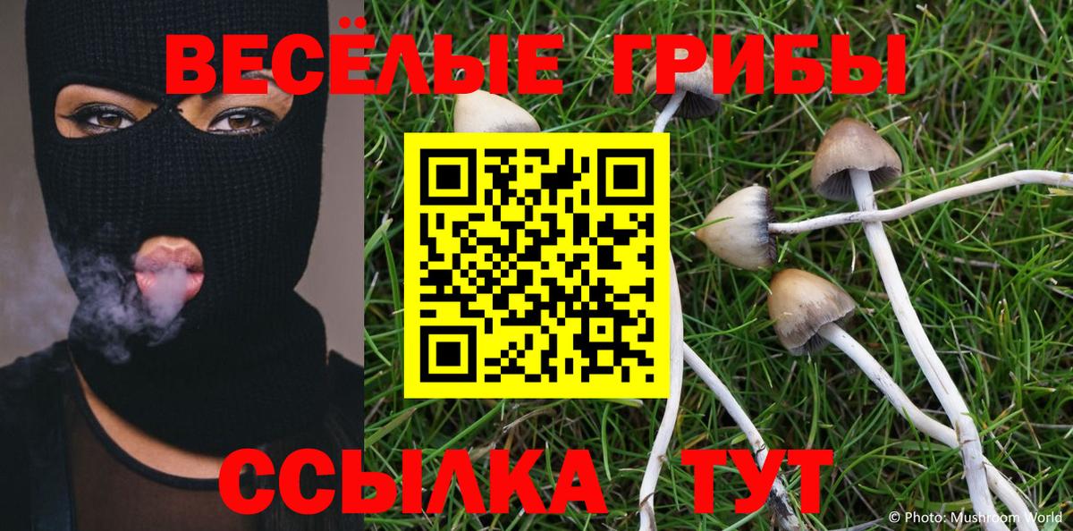 Галлюциногенные грибы прущие грибы  Вход с VPN  Миллерово 