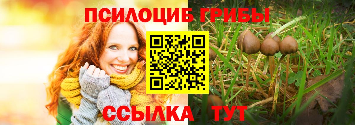 Псилоцибиновые грибы MAGIC MUSHROOMS Миллерово